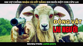 Hai Vợ Chồng Nhận Cái Kết Đắng Khi Nuôi Một Con Cừu Lai | Review Phim