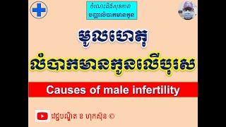 មូលហេតុលំបាកមានកូនលើបុរស l Causes of male infertility l បញ្ហាលំបាកមានកូន l @hoksunnkhor