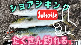 【ショアジギング】北海道でブリを狙います🎣15 2024