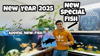 *Adding New special Fish on New Year 2025*  1st Vlog  Indian Aqua Boy24 of 2025