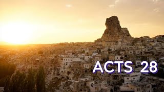 ACTS 28 NIV AUDIO BIBLE