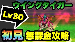 【ドラクエウォーク 】ウイングタイガーLv30を初見無課金攻略！まもりのたてと耐性は必須です【ドラゴンクエストウォーク】