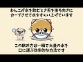 犬好きに話したくなる雑学 part.12