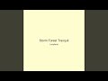 Storm Forest Tranquil