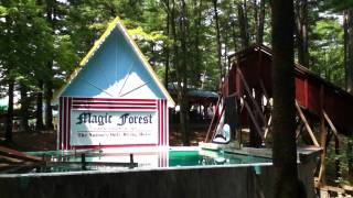 The diving horse at Magic Forest in Lake George, NY 7/19/11