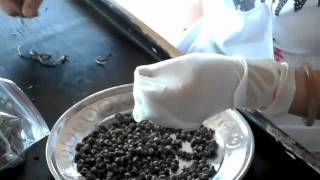 Ever Wonder How Jasmine Pearl Tea is Made?