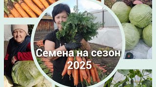 Семена овощей на новый сезон 2025