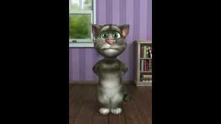 todor I Talking Tom 2