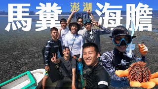 現吃鮮甜 馬糞海膽｜澎湖旅遊Vlog