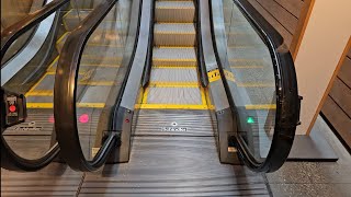 Schindler Escalators @ Crate \u0026 Barrel - Galleria Edina - Edina, MN