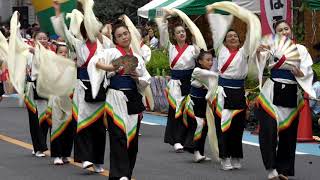 「舞飛鳥」第16回　浦和よさこい IN 南浦和 2019　東口B会場　7月21日（日）