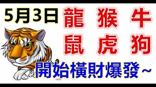 5月3日生肖運勢_龍、猴、牛大吉 - 十二生肖