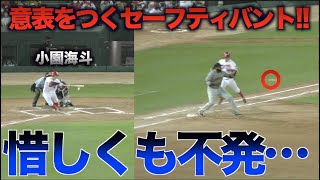 セーフティバント失敗…奇策で攻めるも惜しくも仕留められド派手に転倒してしまう小園海斗【広島東洋カープVS阪神タイガース】