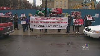 Crowd at Riley's Aquarium in Toronto protests fishing