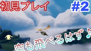 Sky 星を紡ぐ子どもたち 空を飛ぶだけでも超楽しいw