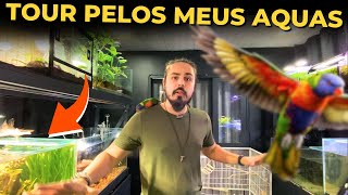 🔴TOUR DIVERTIDO PELOS MEUS AQUÁRIOS DA PET ROOM |Mr. Betta|