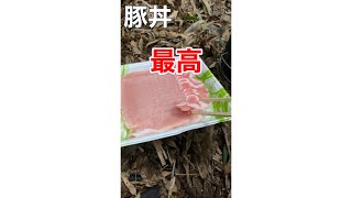 ヤバかった豚丼を作る動画