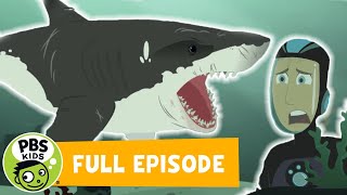 Wild Kratts Full Episode  Stuck On Sharks  Pbs Kids