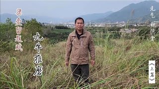 【种德堂】昭平梁爱留题赋，九牛推磨山水美景