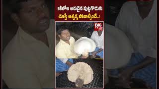 5 kg Rare mushroom in Kundurpi : 5కిలోల అరుదైన పుట్టగొడుగు చూస్తే ఆశ్చర్య పోవాల్సిందే..! | BIGTV