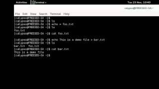 echo command example