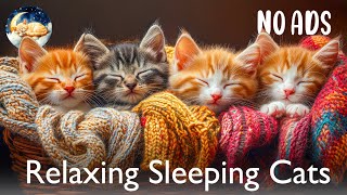 Ultimate Kitten Sleep Therapy 💤 Gentle Music in Yarn Basket🐾Soft Lullabies for Calm And Relaxation