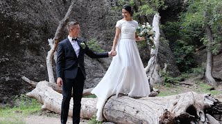 Brandon ❤️ Betty Wedding Highlights