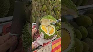 Durian Heaven! Durian Unboxing Master - Fruit Cutting Skills