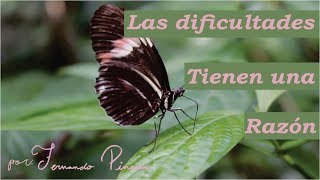 Reflexión Sobre Dificultades de la Vida - El Buen Hombre y La Mariposa