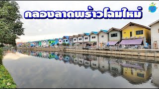 ปรับภูมิทัศน์ สร้างบ้าน,สร้างเขื่อน ริมคลองลาดพร้าว แยกประชาอุทิศ (เม่งจ๋าย)