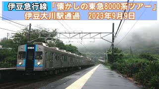 【伊豆急行線】東急株主様限定企画「懐かしの東急8000系ツアー」