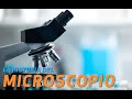 Microscopio Historia - Que es y Como Evoluciono