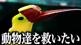 【衝撃】人間に助けを求めた動物ランキングがツッコミどころ満載だったwwwwww傑作選#89【なろ屋】【ツッコミ】