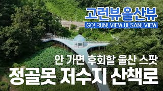 [고런뷰 울산뷰] 안 가면 후회할 울산 스팟