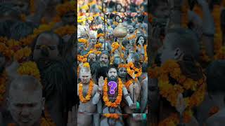 नागा साधू थंडीमध्ये कसे राहतात? जाणून घ्या रहस्य! kumbh mela naga sadhu 2025 #shorts