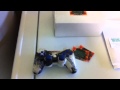 Custom 187x PS3 Controller! By BIGSHOTMODZ.COM!