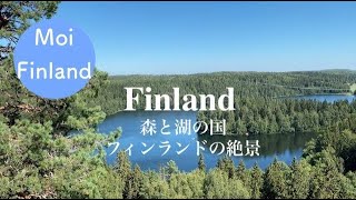 【森と湖の国、フィンランドの絶景】フィンランドの森歩き｜フィンランドでラズベリーを摘む｜北欧夏の暮らし｜フィンランドの田舎の絶景｜癒しの風景｜カハヴィタウコ｜Vlog