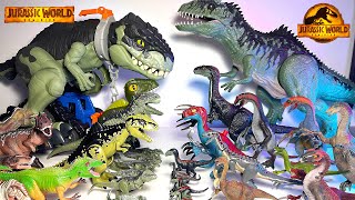 Giganotosaurus vs Therizinosaurus Collection! Jurassic World Dominion Dinosaurs Collection Battle