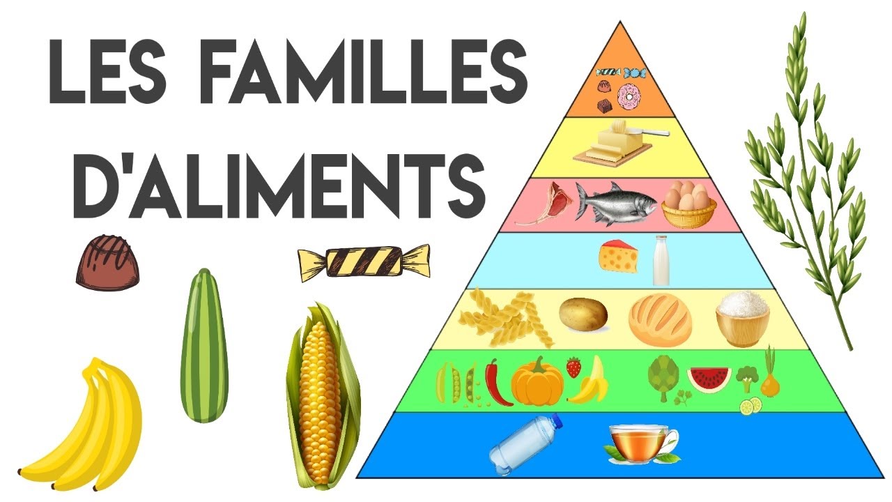 Les Familles D'aliments : La Pyramide Alimentaire - YouTube