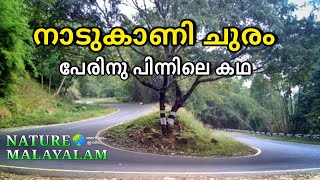 ആദിവാസി നൽകിയ പേര് 'നാടുകാണി ' | nadukani churam | nadukani view point | nadukani tourist places