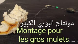 مونتاج لصيد البوري الكبير في الاعماق Montage Pour les gros mulets