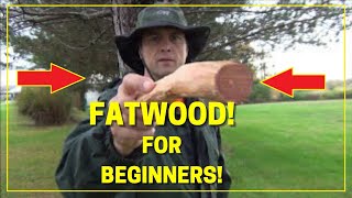 Fatwood for Beginners