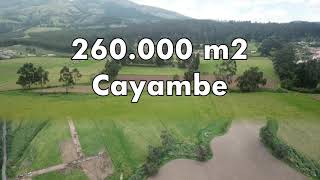 Terrenos.com.ec 260.000 m2 Cayambe