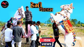 Wedding Horse Dance || હેમી ઘોડી વાલમ || Hemi Valam || New Dance 2024|| Kajal Maheriya Song 2024