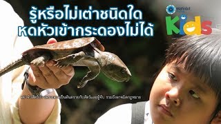 รู้หรือไม่เต่าชนิดใดหดหัวเข้ากระดองไม่ได้ [Animals Speak by Mahidol]