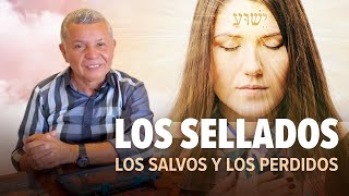 Los Sellados. Los Salvos y Los Perdidos —AntonioBolainez®