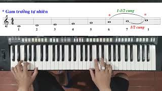 ĐIỆU THỨC TRƯỞNG Tự nhiên - Hoà Âm - Giai điệu | Ku Tèo Piano.