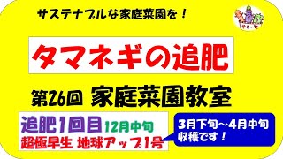 第26回　家庭菜園教室　【タマネギ栽培　追肥1回目　12月中旬】　2023年12月14日　超極早生　地球アップ1号　無農薬　生ゴミボカシ肥料　サステナブルな家庭菜園