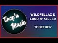 Wildfellaz & Loud N' Killer - Together