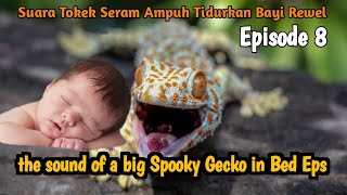 Suara Tokek  Pengantar Bayi Susah Tidur Full 1 jam , the sound of a big Spooky Gecko in Bed Eps 8